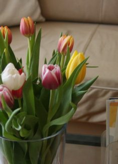 Blumen und Flyer auf Glasstisch im Praxisraum der Kinderwunschberatung Bremen